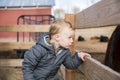 Toddler Boy Visiting a Local Urban Farm Looking at Horses Through a Wooden Fence