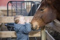 Toddler Boy Visiting a Local Urban Farm Petting a Horse`s Head