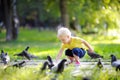 Toddler boy walking in the park and feeding pigeons Royalty Free Stock Photo