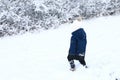 Toddler boy walking in snow to frozen bush Royalty Free Stock Photo