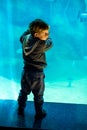 Toddler boy watches fishes in aquarium Royalty Free Stock Photo