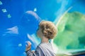 Toddler boy watches fishes in aquarium Royalty Free Stock Photo