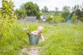 Toddler with a bucket with a bouquet of flowers