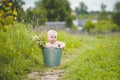 Toddler with a bucket with a bouquet of flowers