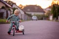 Toddler child, blond boy, riding tricycle in a village small road on sunset