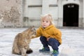 Toddler child, boy, playing with huge cat on the street in little village in France Royalty Free Stock Photo