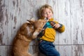 Toddler child and dog, boy and puppy playing together at home Royalty Free Stock Photo
