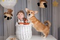 Toddler child and dog, boy and puppy playing together at home Royalty Free Stock Photo