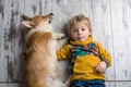 Toddler child and dog, boy and puppy playing together at home Royalty Free Stock Photo