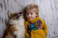 Toddler child and dog, boy and puppy playing together at home Royalty Free Stock Photo