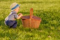 Toddler child outdoors. One year old baby boy wearing straw hat looking in picnic basket Royalty Free Stock Photo