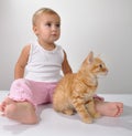 Toddler child plays with a cat Royalty Free Stock Photo