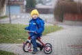 Toddler child, riding little tricycle in the park Royalty Free Stock Photo