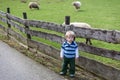 Toddler child standing in front of a wooden fence