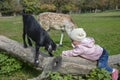 Toddler climbing with a young black goad on a dried out tree Royalty Free Stock Photo