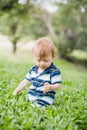 Toddler crawling in the garden and exploring backyard