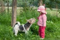 A toddler with a dog in a garden Royalty Free Stock Photo