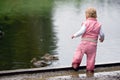 Toddler beside duck pond