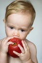 Toddler Eating Apple Royalty Free Stock Photo