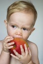 Toddler Eating Apple Royalty Free Stock Photo