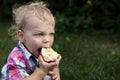 Toddler eating apple Royalty Free Stock Photo