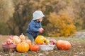 toddler enjoying harvest festival celebration at pumpkin patch. Kids picking and carving pumpkins at country farm on Royalty Free Stock Photo