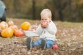 toddler enjoying harvest festival celebration at pumpkin patch. Kids picking and carving pumpkins at country farm on Royalty Free Stock Photo