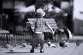 Toddler feeding pigeons Royalty Free Stock Photo