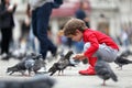 Toddler Feeding The Pigeons