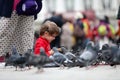 Toddler feeding the pigeons Royalty Free Stock Photo