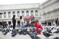 Toddler feeding the pigeons