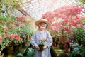 Toddler with flower basket. girl holding pink flowers Royalty Free Stock Photo