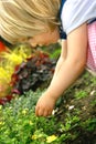 Toddler with flower in park