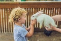 Toddler girl caresses and playing with rabbit in the petting zoo