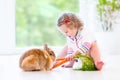 Toddler girl with curly hair playing with real bunny Royalty Free Stock Photo