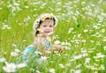 Toddler girl on the daisy meadow Royalty Free Stock Photo