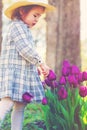 Toddler girl in a hat playing with tulips Royalty Free Stock Photo