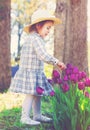 Toddler girl in a hat playing with tulips Royalty Free Stock Photo