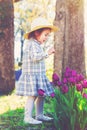 Toddler girl in a hat playing with tulips Royalty Free Stock Photo