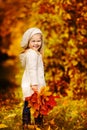 Toddler girl have fun with fallen golden leaves