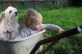 Little toddler girl and her dog sitting in a pushcart Royalty Free Stock Photo