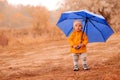 Toddler girl in orange raincoat and pink hat standing under big blue umbrella outdoors in autumn day Royalty Free Stock Photo