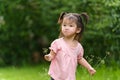 Toddler girl playing grass flower in field