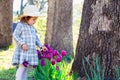 Toddler girl playing with tulips outside Royalty Free Stock Photo