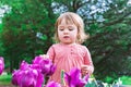 Toddler girl playing with tulips outside Royalty Free Stock Photo