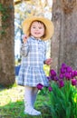 Toddler girl playing with tulips outside Royalty Free Stock Photo