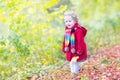 Toddler girl in a red coat with yellow maple leaves