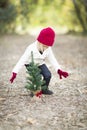 Toddler Girl In Red Mittens and Cap Planting Christmas Tree Sappling Royalty Free Stock Photo