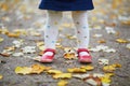 Toddler girl in red shoes and polka dot pantihose standing on fallen leaves in a fall day Royalty Free Stock Photo