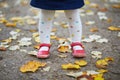 Toddler girl in red shoes and polka dot pantihose standing on fallen leaves in a fall day Royalty Free Stock Photo